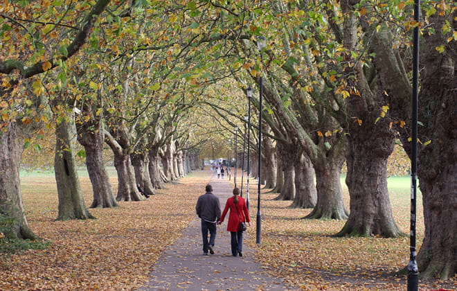 Enjoy a breath of fresh air in Cambridge