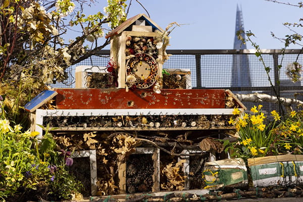 Image of a wildlife bug hotel in a garden