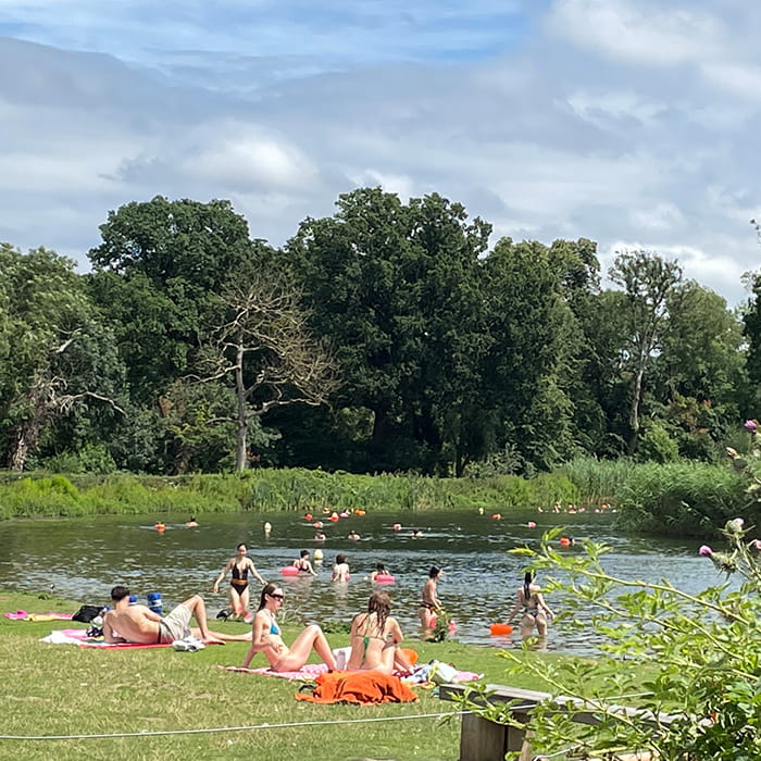 People swimming at a lake