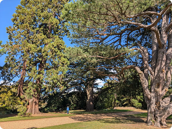 Cambridge Botanic Garden