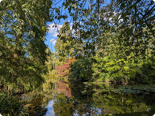 Cambridge Botanic Garden