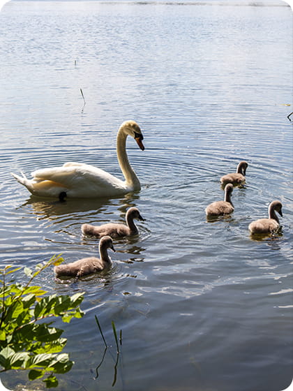 Day out in Peterborough