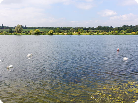 Day out in Peterborough