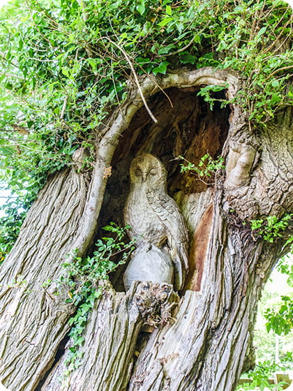 Day out in Peterborough