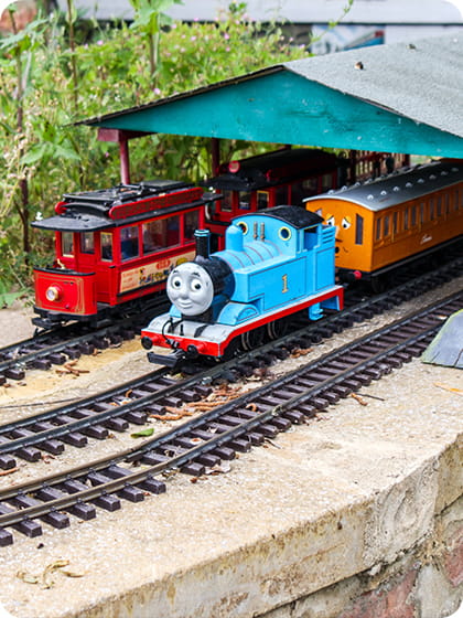 Day out in Peterborough