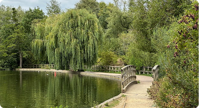 Paddleboarding in Welwyn Garden City