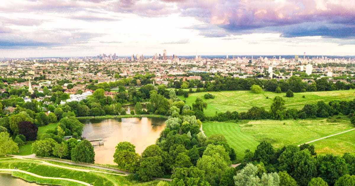 Hampstead Heath London outdoor summer