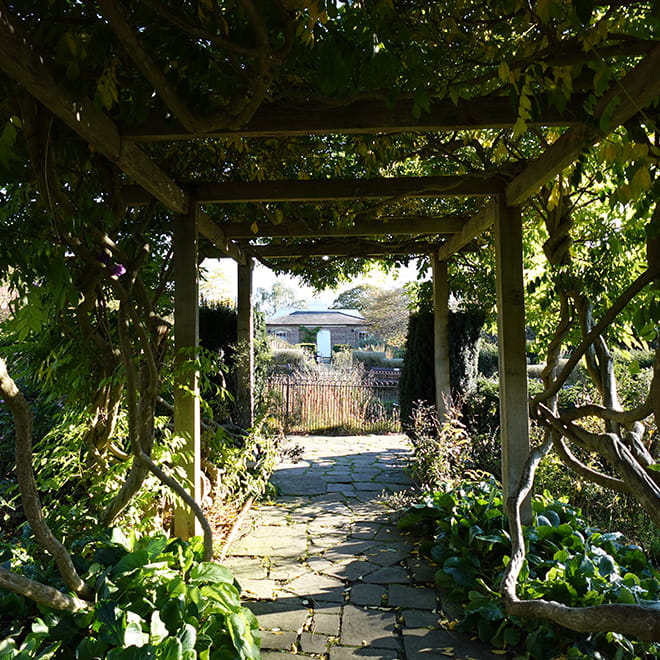 A walk through a covered garden