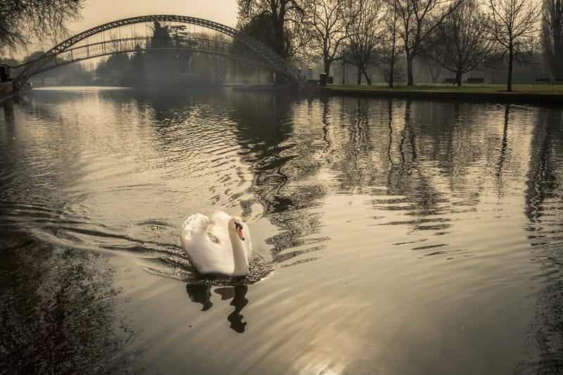 a bridge over a body of water