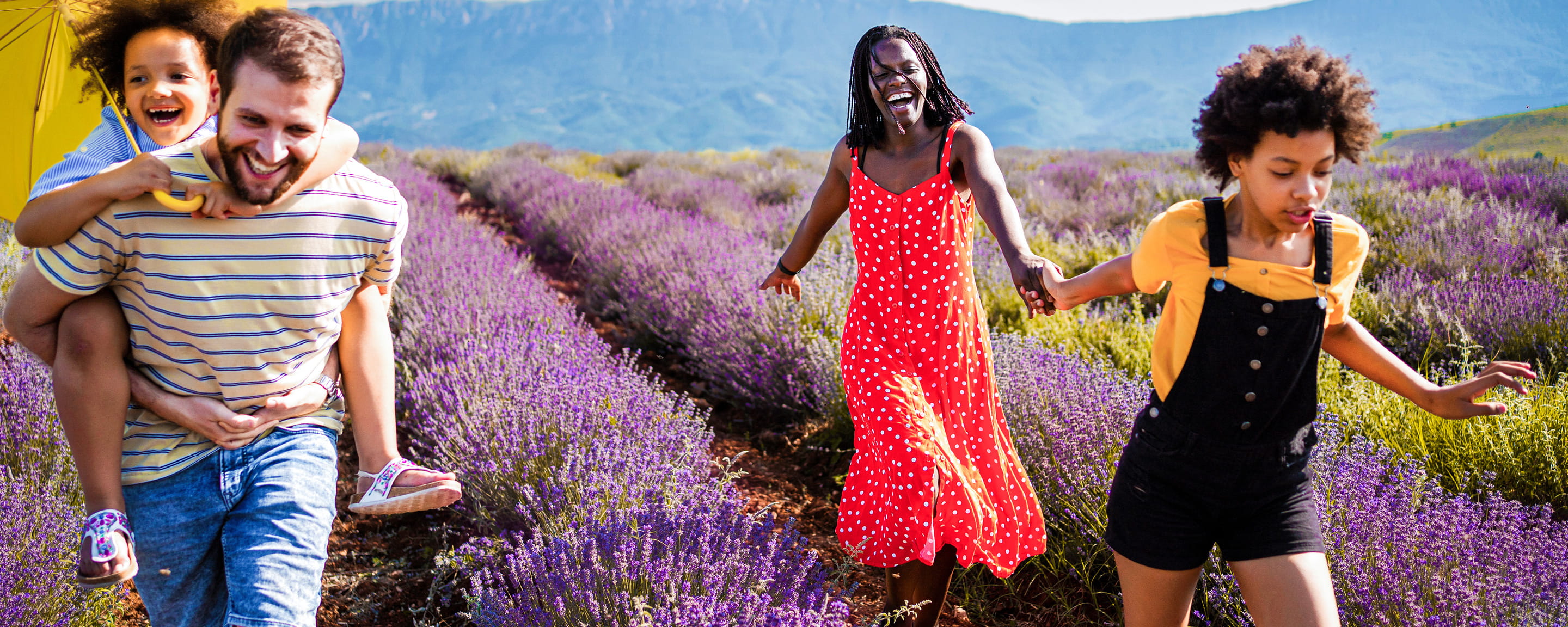 A group of people walking through a lavender field