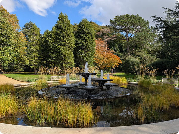 Cambridge Botanic Garden