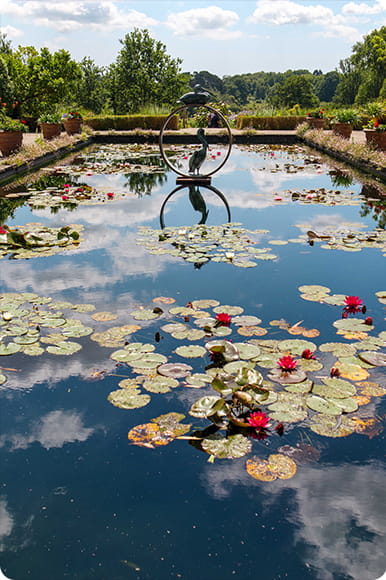 Garden pond