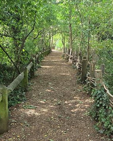 Green spaces and gardens